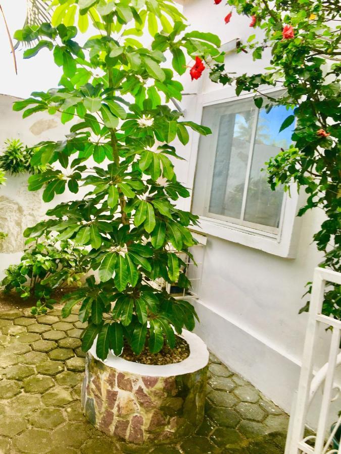 Residence Archange 黑角 外观 照片